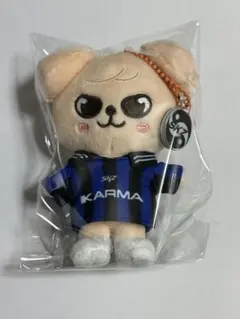 StrayKids dominATE スンミン パピーム ぬいぐるみ Straykids dominate フィギュア スンミン パピーム スキズ 2025年最新