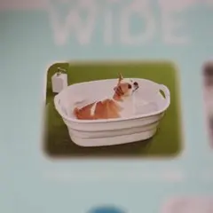 新品　犬用バスタブ　折りたたみ式　日本製のサムネイル