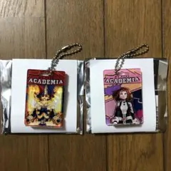 ヒロアカ パッケージ風キーチェーンコレクション 2種セット - メルカリ
