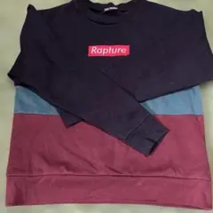 Item thumbnail for item 4733c791-ce9c-4edc-94cc-709f7e4bcd2c