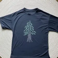 Item thumbnail for item 969b11f6-332a-461e-81ba-c4673b4eb7a6