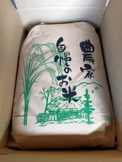 令和7年産 コシヒカリ 玄米25kg 愛媛県産 減農薬 農家直送 送料込み 13