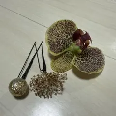 和装 着物 髪飾り ウエディング