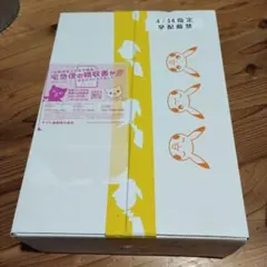 ポケモンカードゲーム ジムセット　スノーハザード&クレイバースト