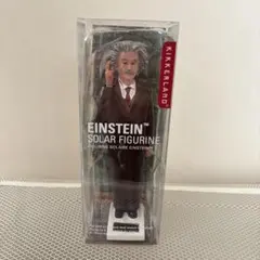 新品★Kikkerland Einstein Solar Figurine★