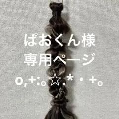 ぱおくん様 専用ページo,+:。☆.