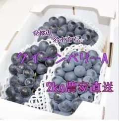 【濃くて甘い糖度16〜18】クイーンベリーA2kg3から4房のサムネイル