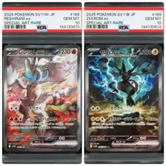 【PSA10】連番　レシラム、ゼクロムSAR ポケモンカード