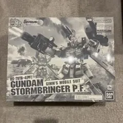 MG ガンダムストームブリンガー P.F. 新品未開封