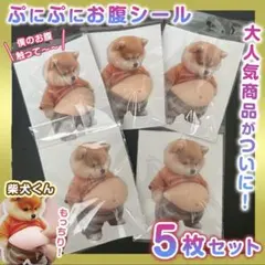 おなか ぷにぷに 柴犬シール 3D 立体 ステッカー 5枚セット ぷっくりお腹