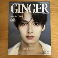 2026年最新】ginger seventeenの人気アイテム - メルカリ