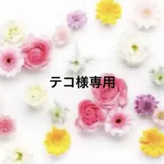 テコ様専用ページ