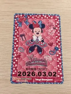 わ*し様 リゾートライン フリーきっぷ ミニー パルパルーザ 3/2印字