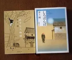 Item thumbnail for item b3b9c3aa-50ae-4878-9ab7-6b193c696382