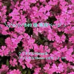 ＼(^o^)／849 様 専用ページ☽⋰