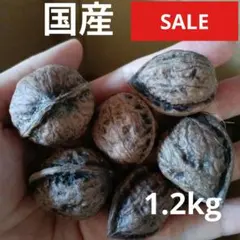 乾燥くるみ樹皮2kg セット。 8-002 - メルカリ