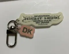 SEVENTEEN セブチ ドギョム カプセルトイ アクキー