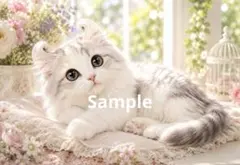 アメリカンカール 猫 デジタルアート イラスト ポストカード
