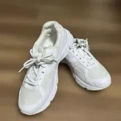 Item thumbnail for item 4951aaa3-6530-4b88-ac0c-53af900aac7f