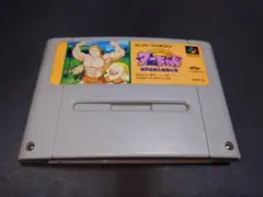 SFC ジャングルの王者ターちゃん 世界漫遊大格闘の巻 / スーパーファミコン