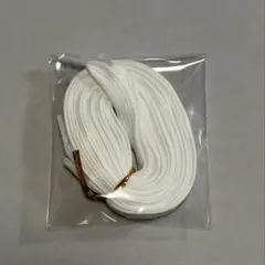 靴紐 平紐 ホワイト 替え紐 ブーツ用