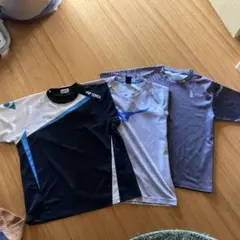 Item thumbnail for item 765ea485-e854-4aaf-a85f-36cec7867eb3