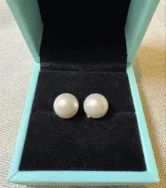 Item thumbnail for item 0e6c7f26-8b99-41d3-a98b-33daaead1b11