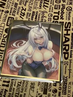 ピロ水(アマカノ　アマカノ2) はにかみ彼女　　天笠綴　ミニ色紙　バニーガール