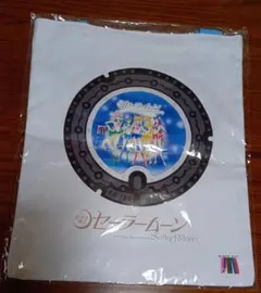 Item thumbnail for item 3a0b4cb0-6658-4a3f-9a10-0efbcbb2cddb