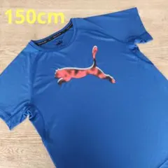 美品【 PUMA Tシャツ 150cm 】