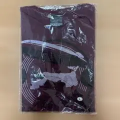 新品 B'z Ｔシャツ３１枚（２５枚がLサイズ・６枚がXLサイズ・同商品有り） 新品 B'z Tシャツ31枚（25枚がLサイズ・6枚がXLサイズ・同商品