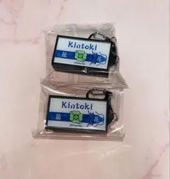 ワイテルズ きんとき 光るキーホルダー