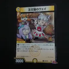 注文猫のウェイ P43/Y23 難あり プレイ用