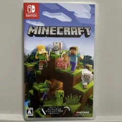 minecraft switch ソフト