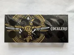 Item thumbnail for item aff4b951-1f6b-4faa-872f-5edacb8c952b