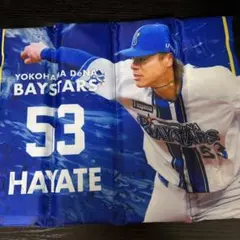 Item thumbnail for item 4be0fec9-efdc-4d1a-8fc2-f6542ff33d6c