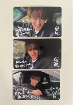 SHOW-WA 向山毅 SJMCカードコンプセット