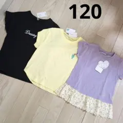 西松屋　Tシャツ　まとめ売り　綿100%　120