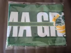 Item thumbnail for item 2bd9f870-7524-40b5-a8c5-9c034b0025a9