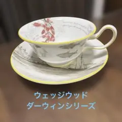 ウェッジウッド ヴォヤージュ オブ ザ ビーグル タヒチ 3点セット 