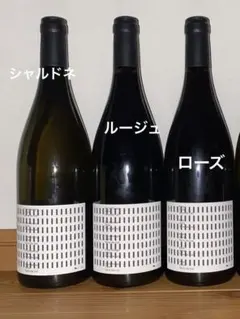 2026年最新】テールドシエルの人気アイテム - メルカリ