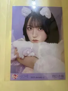 イコラブ　野口衣織　ビッグ生写真　７周年　猫衣装 たからつり　イコノイジョイ