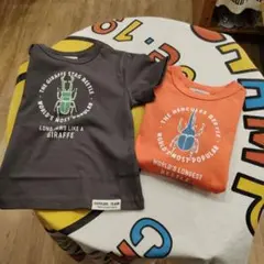 official team　insects Tシャツ　1126315のサムネイル