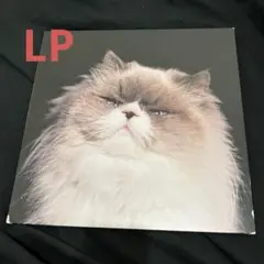 カネコアヤノ 燦々 レコード 祝フジロック カネコアヤノ 燦々 レコード 祝フジロック カネコアヤノ 燦々