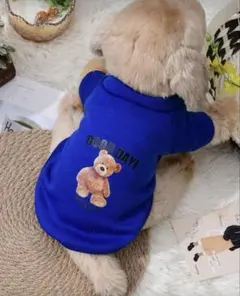 Item thumbnail for item 37fcfac6-de3f-4916-9be7-9383c82edcf6