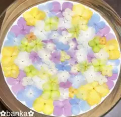 ✿押し花素材✿淡い彩り紫陽花アソート