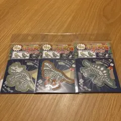 光る！恐竜刺繍ワッペン3点セット