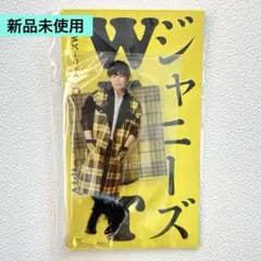 桐山照史 アクスタfest アクリルスタンド