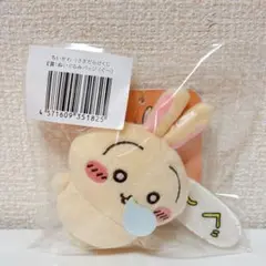 ちいかわ　うさぎだらけくじ　ぬいぐるみバッジ(ぐ〜)