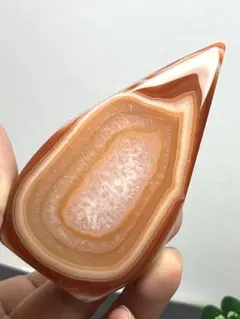 うさぎ、様 リクエスト 2点 まとめ商品